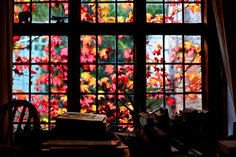 Autumn Leaves Through Window