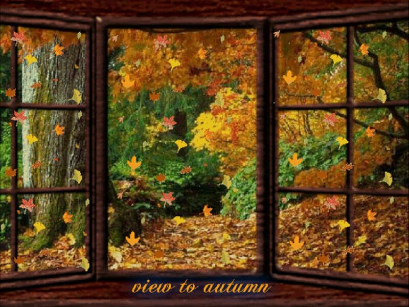 Autumn Leaves Through Window — Yellow
