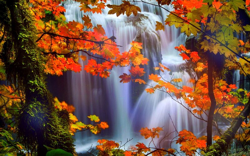 Autumn Leaves Waterfall — Orange