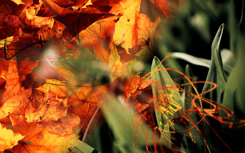 autumn leaves with abstract overlays