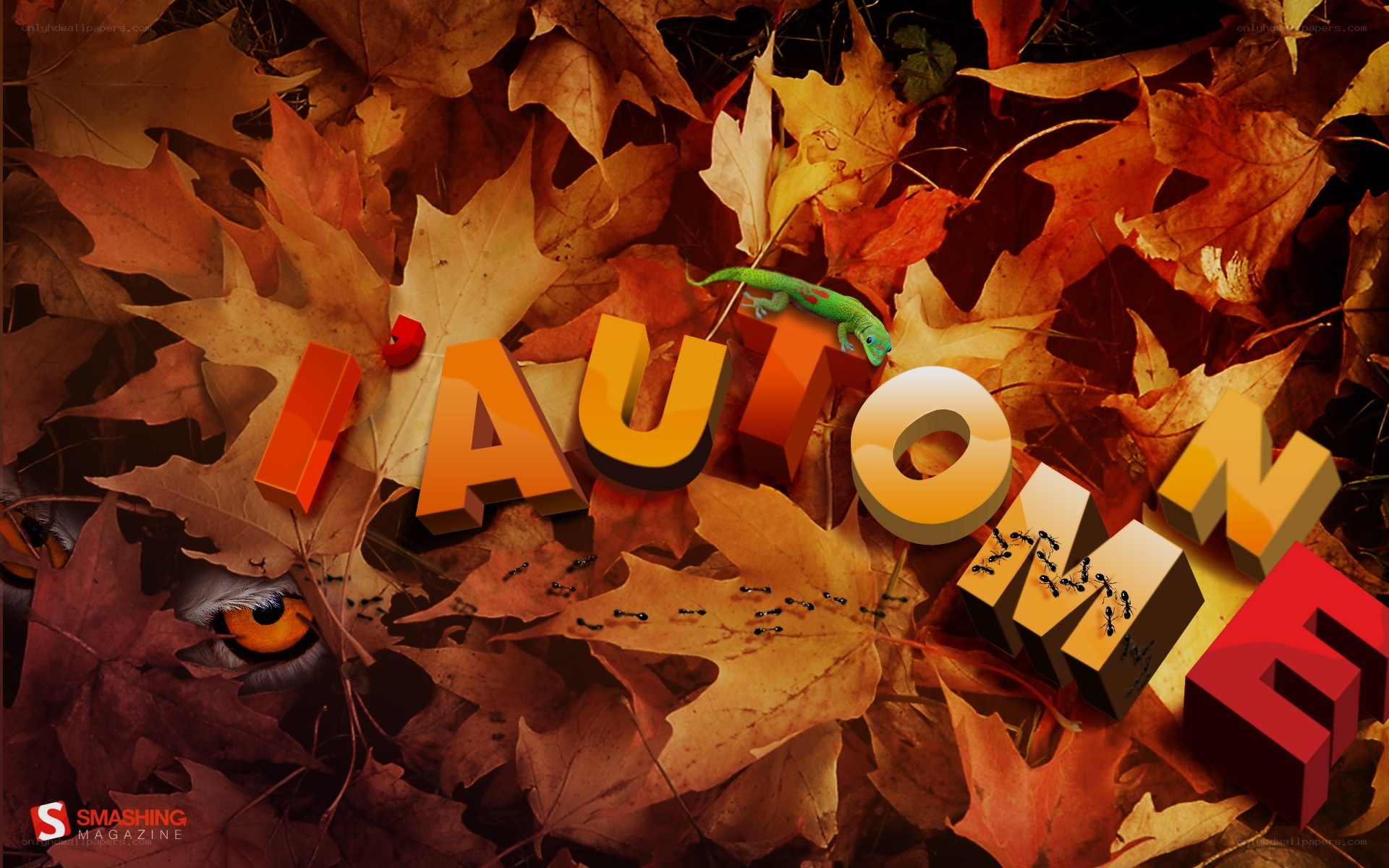Autumn leaves with animals