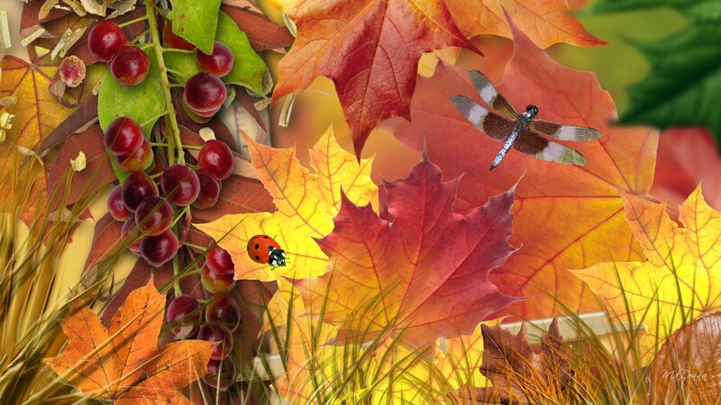 Autumn Leaves with Berries — Red