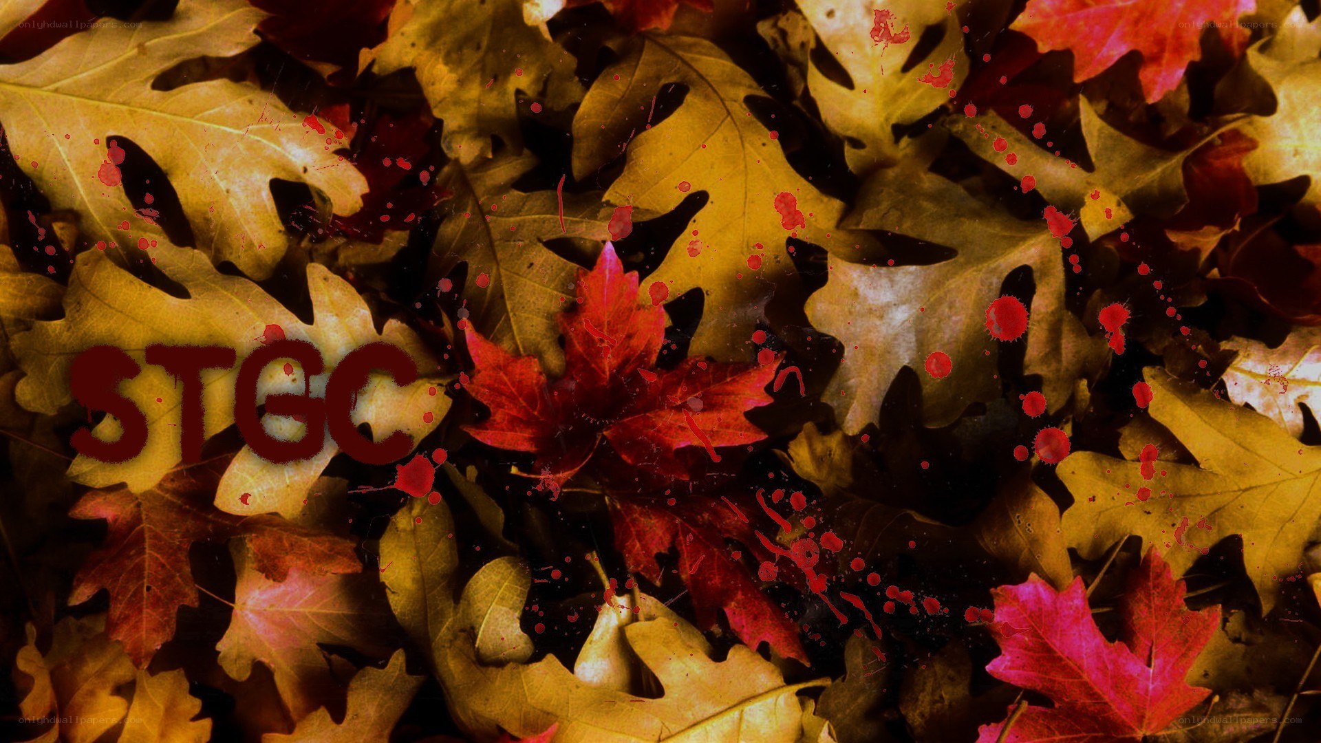 Autumn leaves with blood splatters