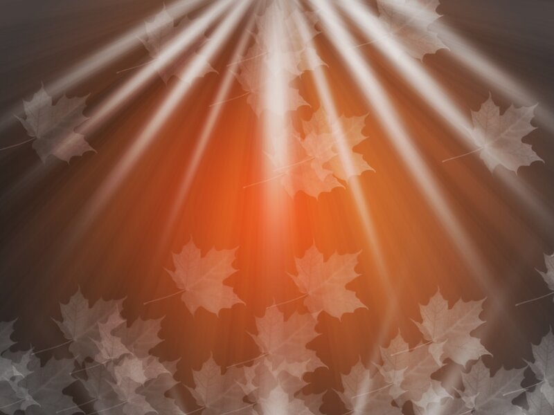 autumn leaves with light rays