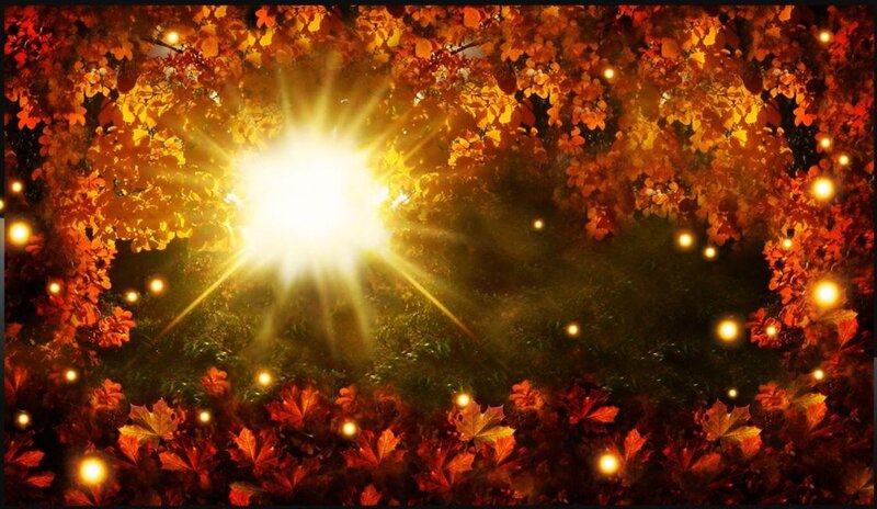 Autumn Leaves with Light