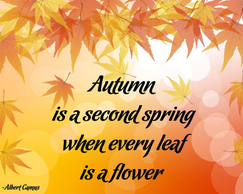 Autumn Leaves with Quote — Orange, Serene