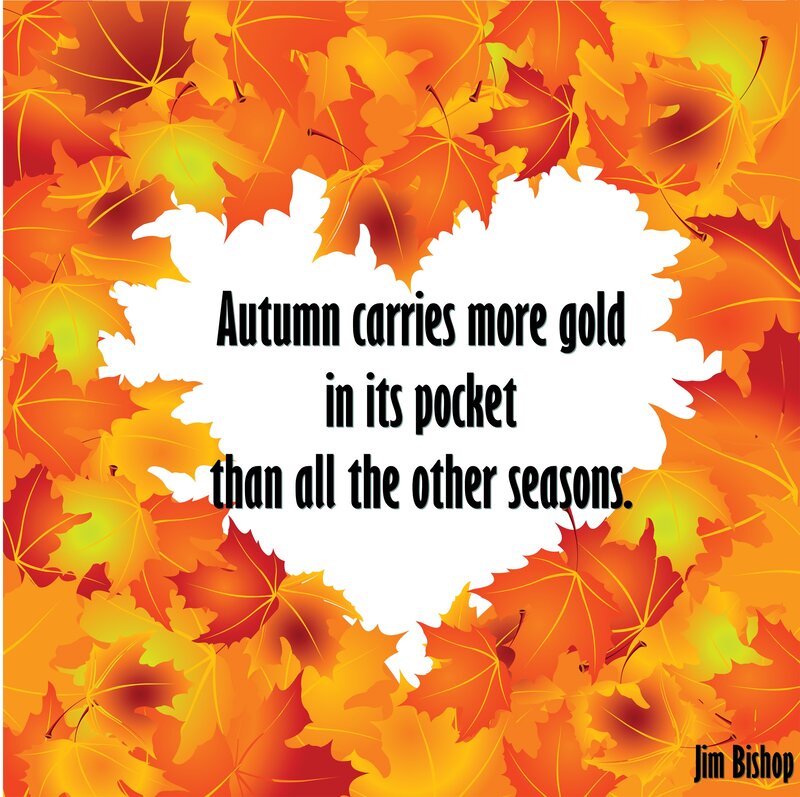 Autumn Leaves with Quote — Orange