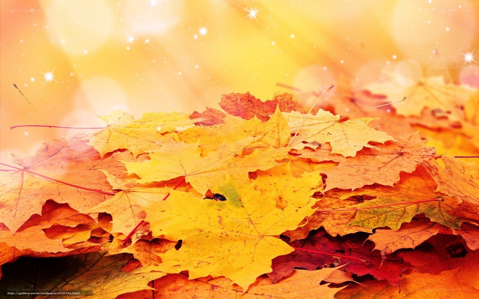 Autumn leaves with sparkles