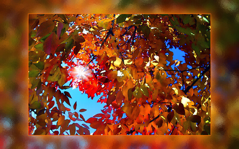 Autumn Leaves with Sun