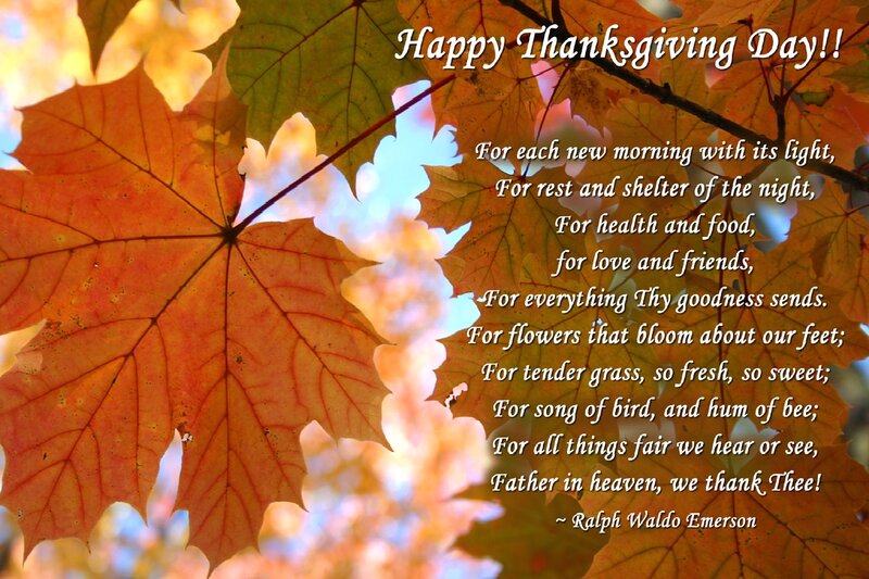 Autumn Leaves with Text — Orange, Peaceful