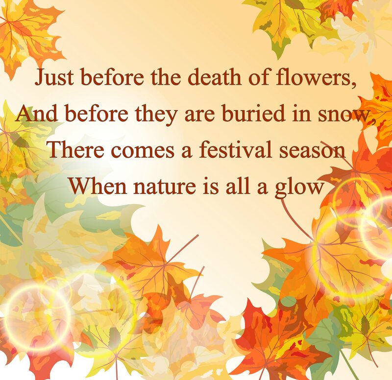 Autumn Leaves with Text — Orange, Serene