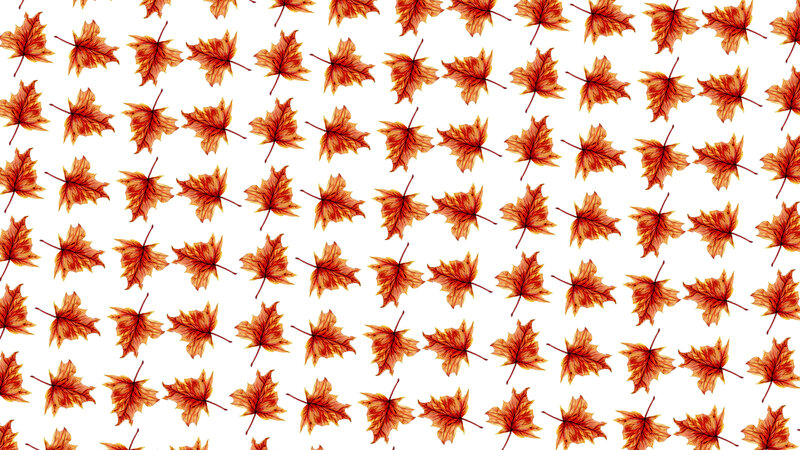 Autumn Maple Leaves — Orange, Calm, Illustration