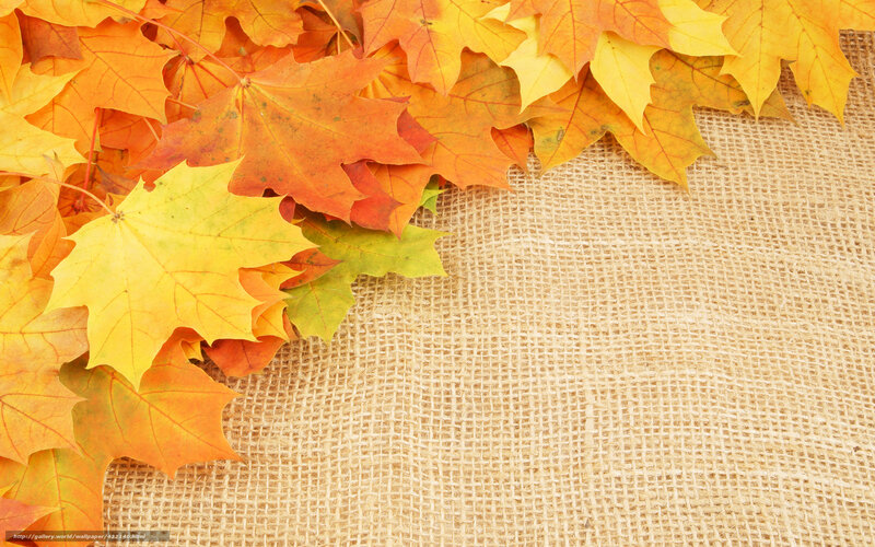 Autumn Maple Leaves — Orange, Calm, Photograph, Burlap Fabric, Fall Colors