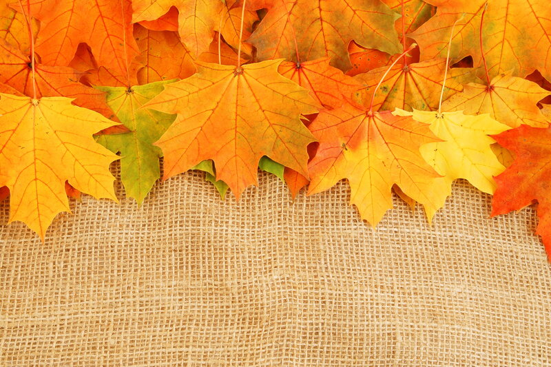 Autumn Maple Leaves — Orange, Calm, Photograph, Burlap