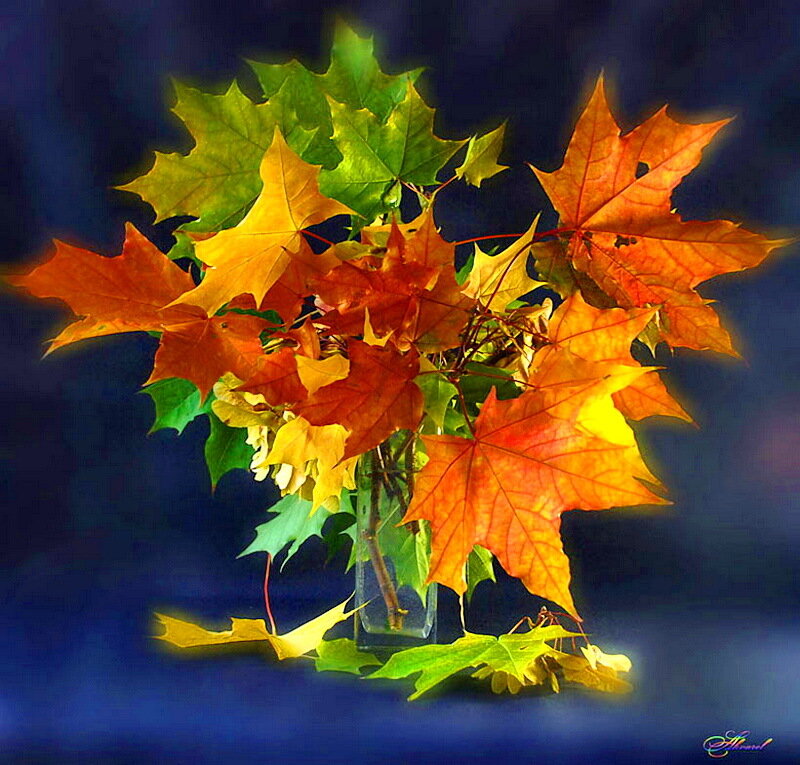 Autumn Maple Leaves — Orange, Dramatic