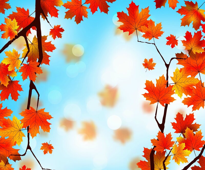 Autumn Maple Leaves — Orange, Serene, Digital Art, Branches