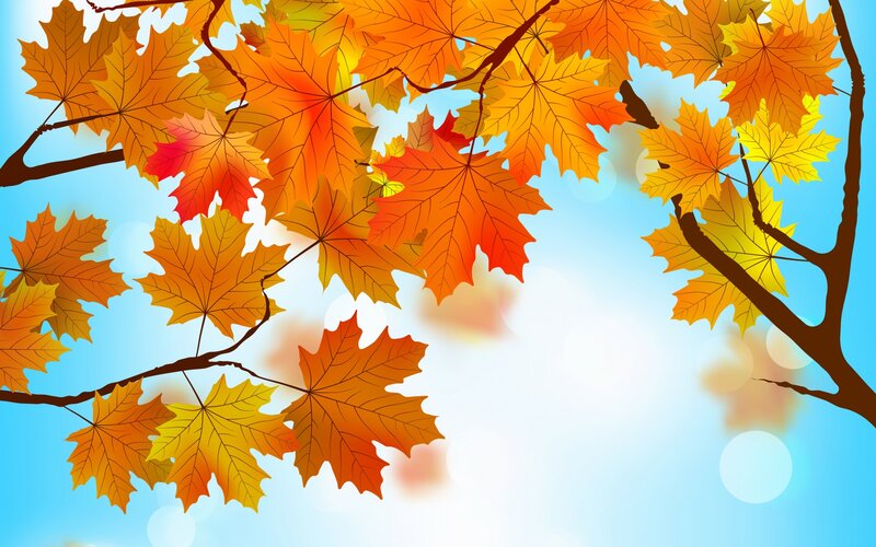 Autumn Maple Leaves — Orange, Serene, Illustration