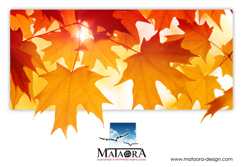 Autumn Maple Leaves — Orange, Warm
