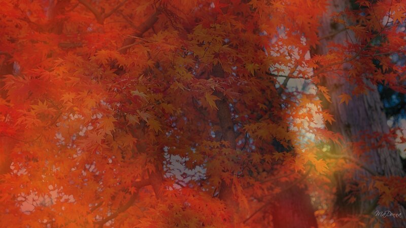 Autumn Maple Leaves — Red, Serene, Digital Art