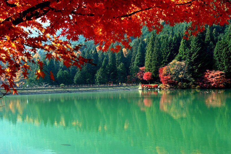 Autumn Maple Leaves — Red, Serene, Photograph, Lake
