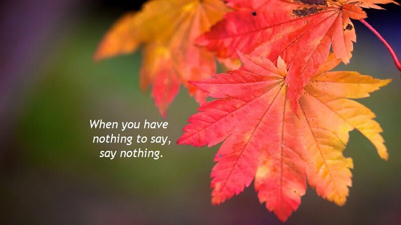 Autumn Maple Leaves — Red, Serene, Photograph, Text