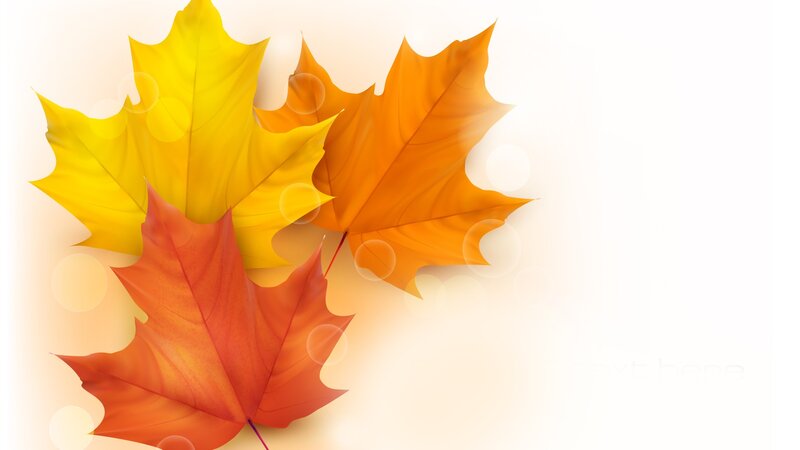Autumn Maple Leaves — Yellow, Calm, Digital Art