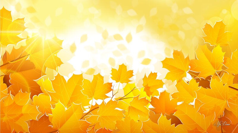 Autumn Maple Leaves — Yellow, Warm, Digital Art, Sunlight