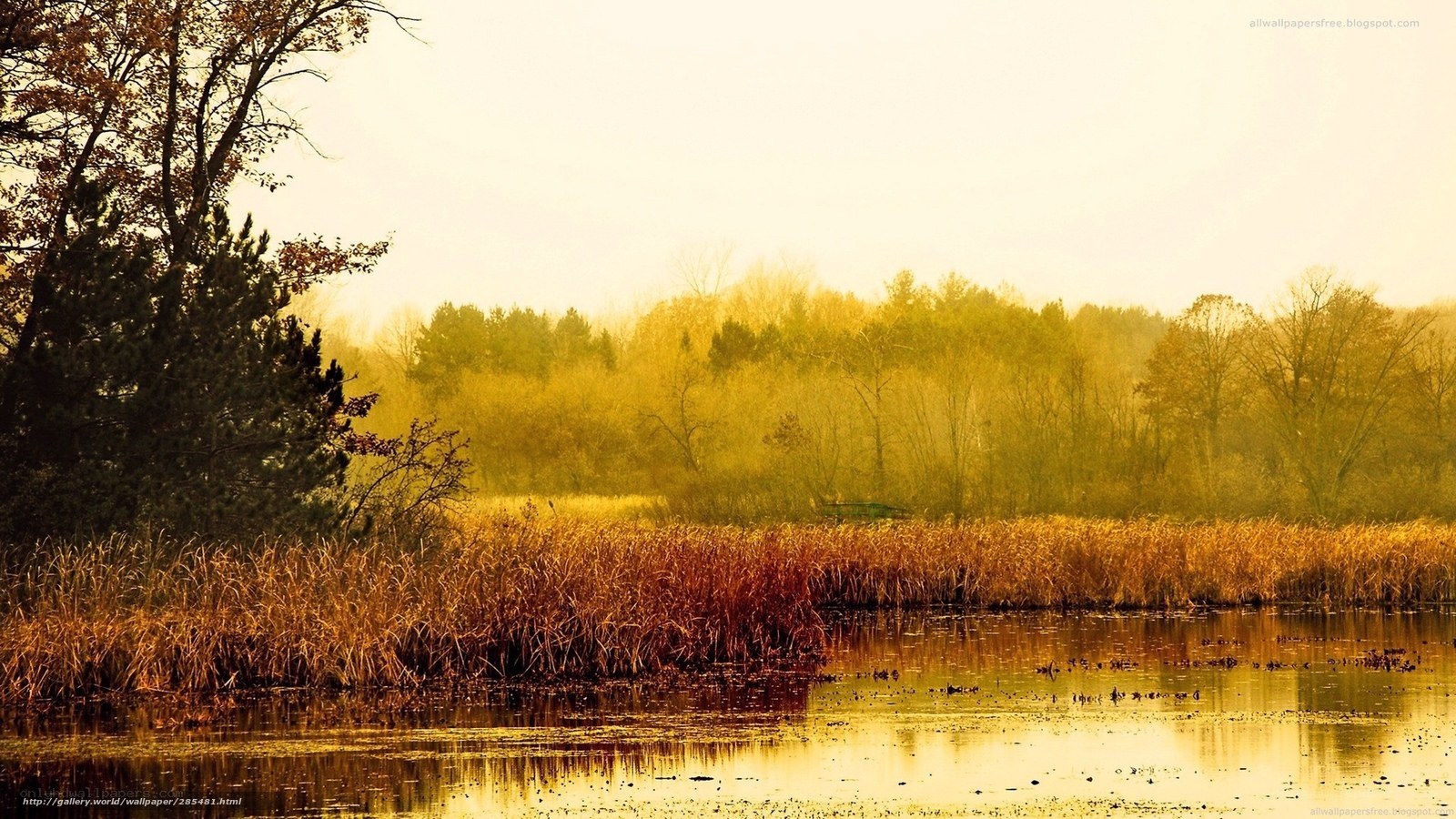 Autumn marsh at sunrise