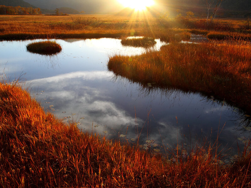 Autumn Marsh at Sunset — Orange