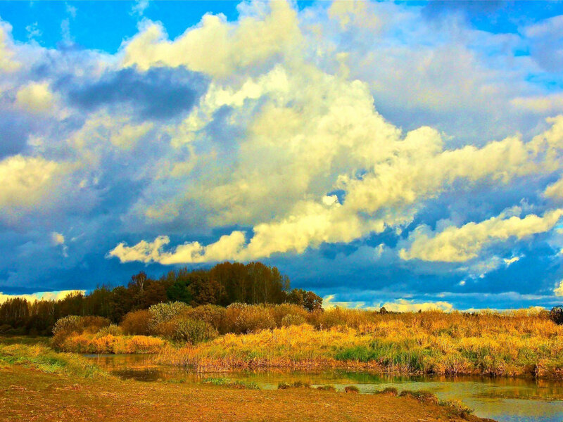 Autumn Marsh Landscape — Blue