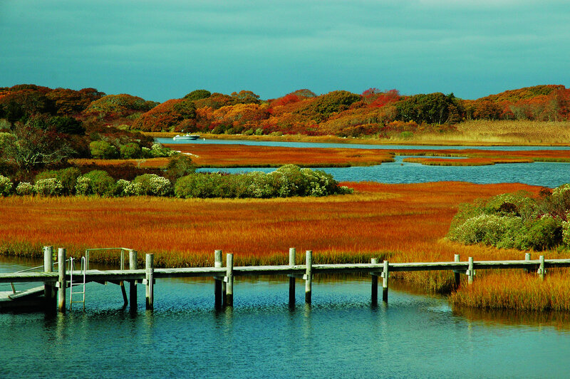 Autumn Marsh with Dock