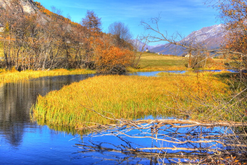 Autumn Marsh with Mountains — Blue