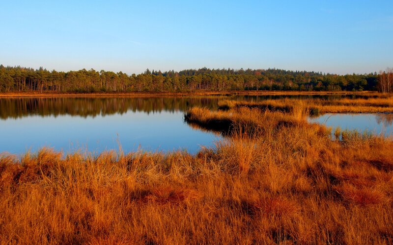 Autumn Marshland Lake