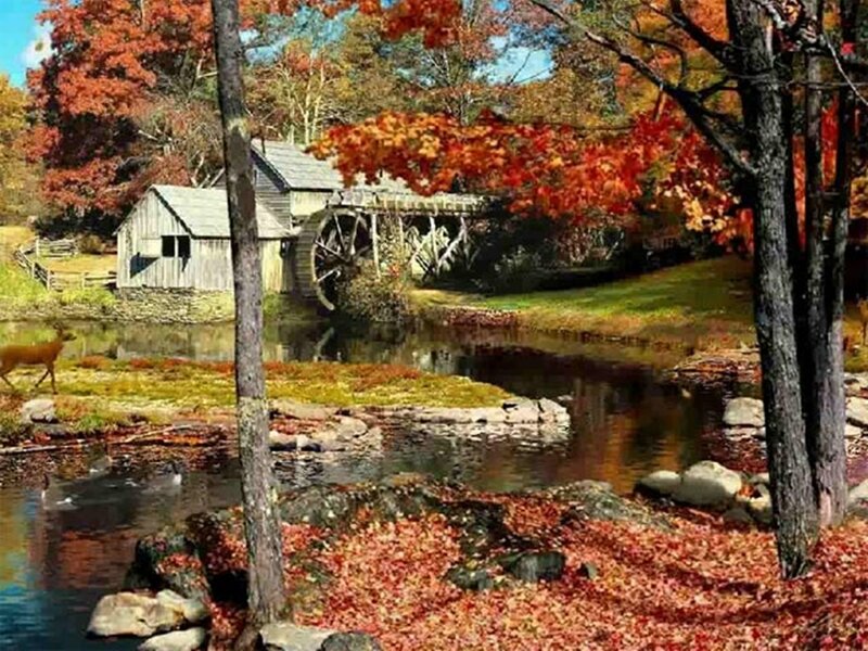 Autumn mill by a river