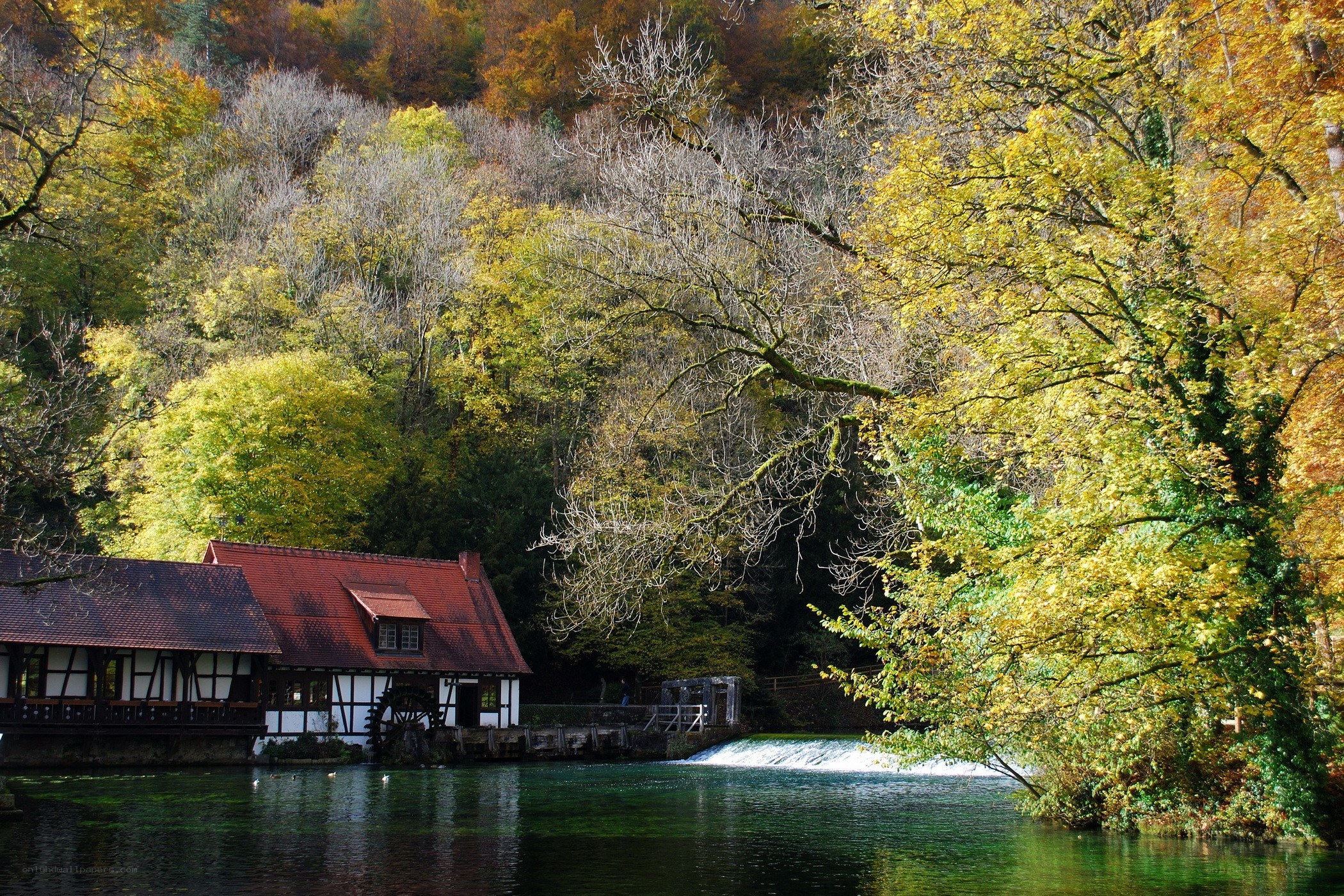 Autumn mill by a river