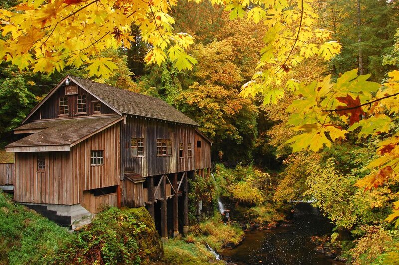 Autumn mill by a stream