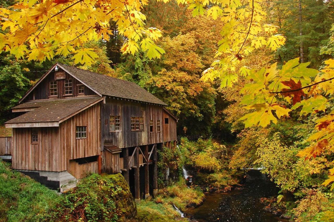 Autumn mill by a stream