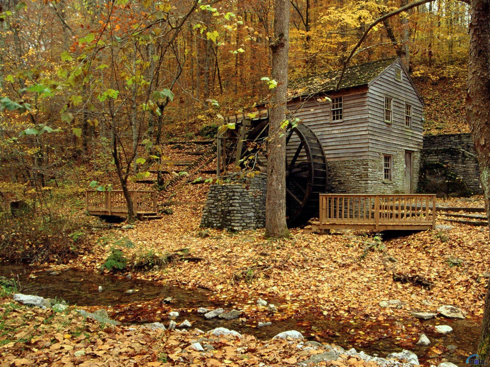 Autumn mill by a stream