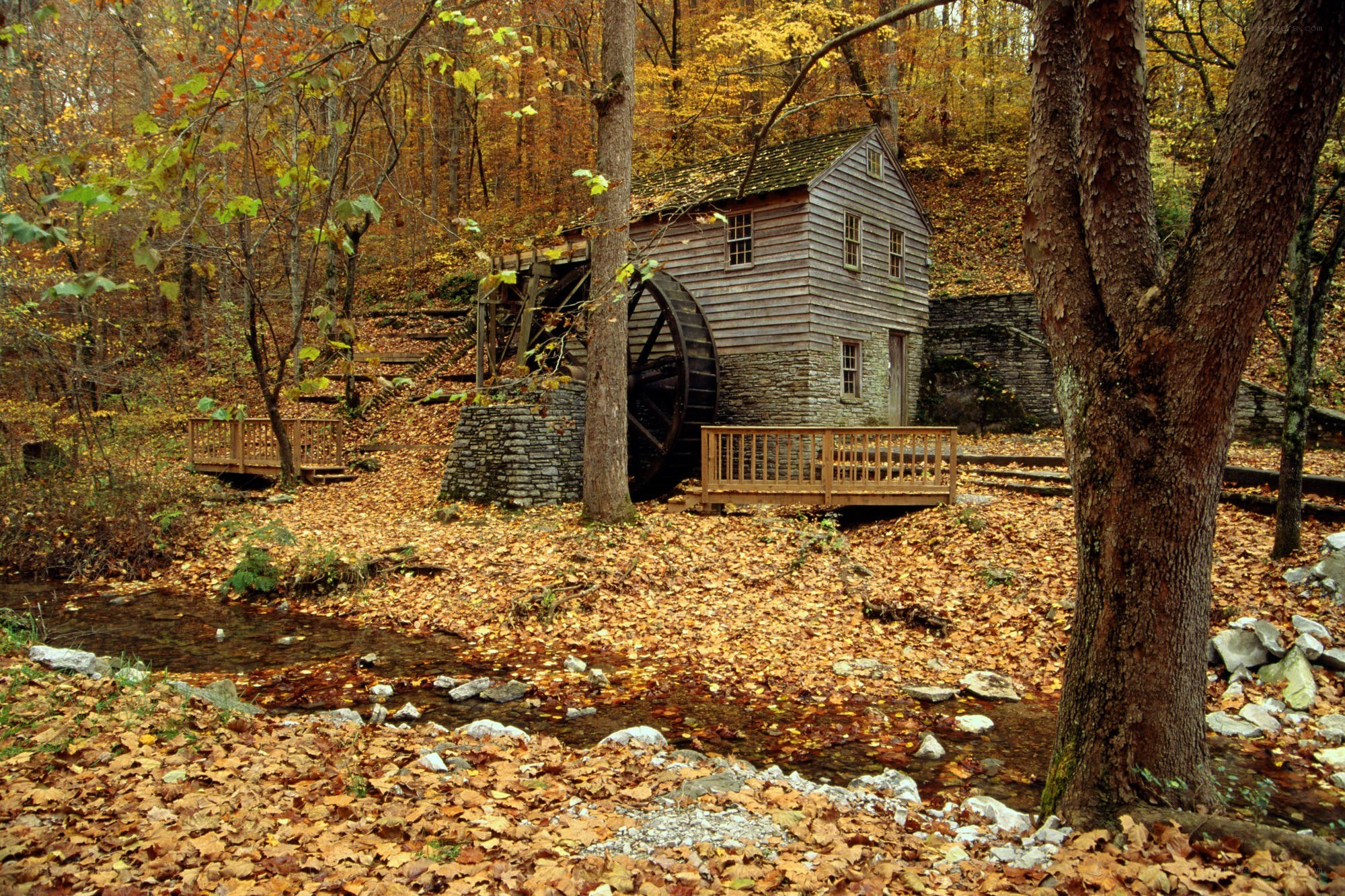 Autumn mill in the forest
