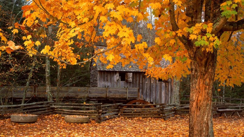 Autumn mill scene