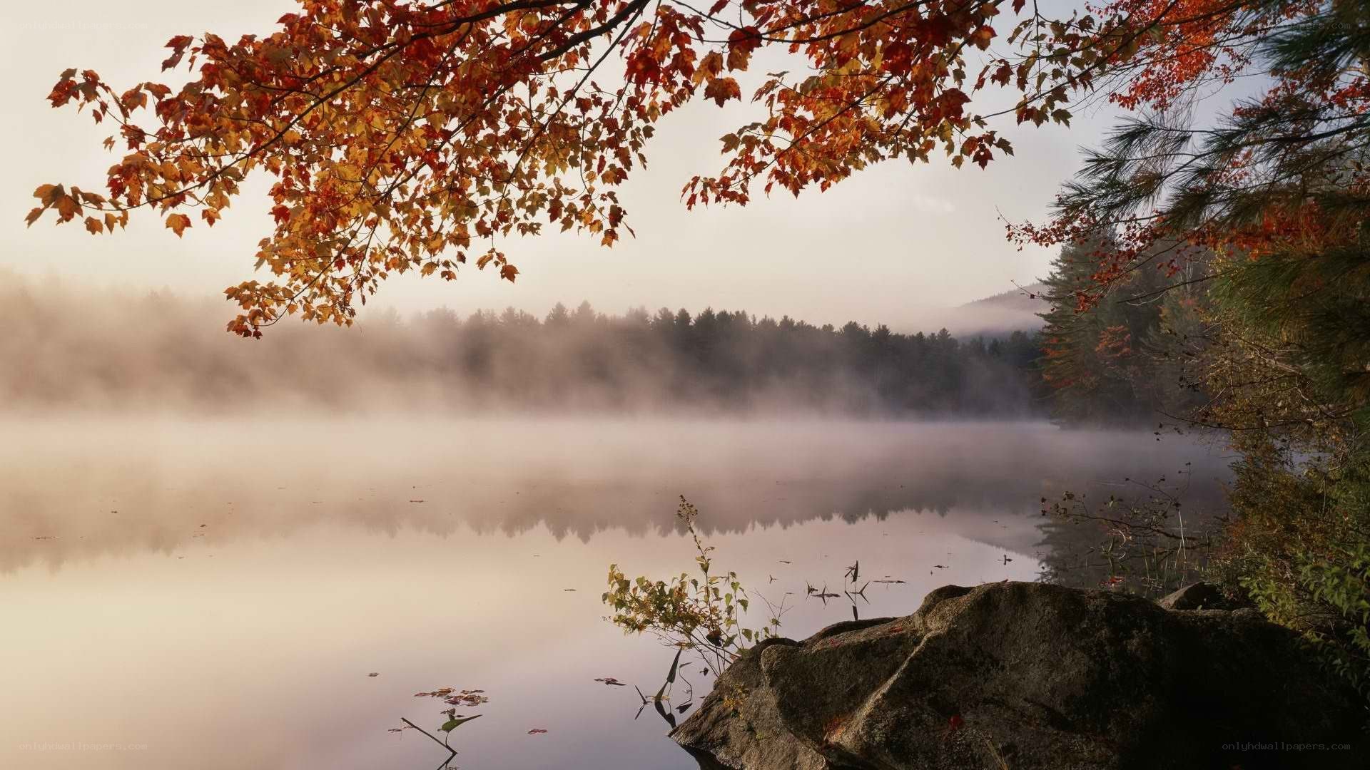 Autumn mist over a calm lake