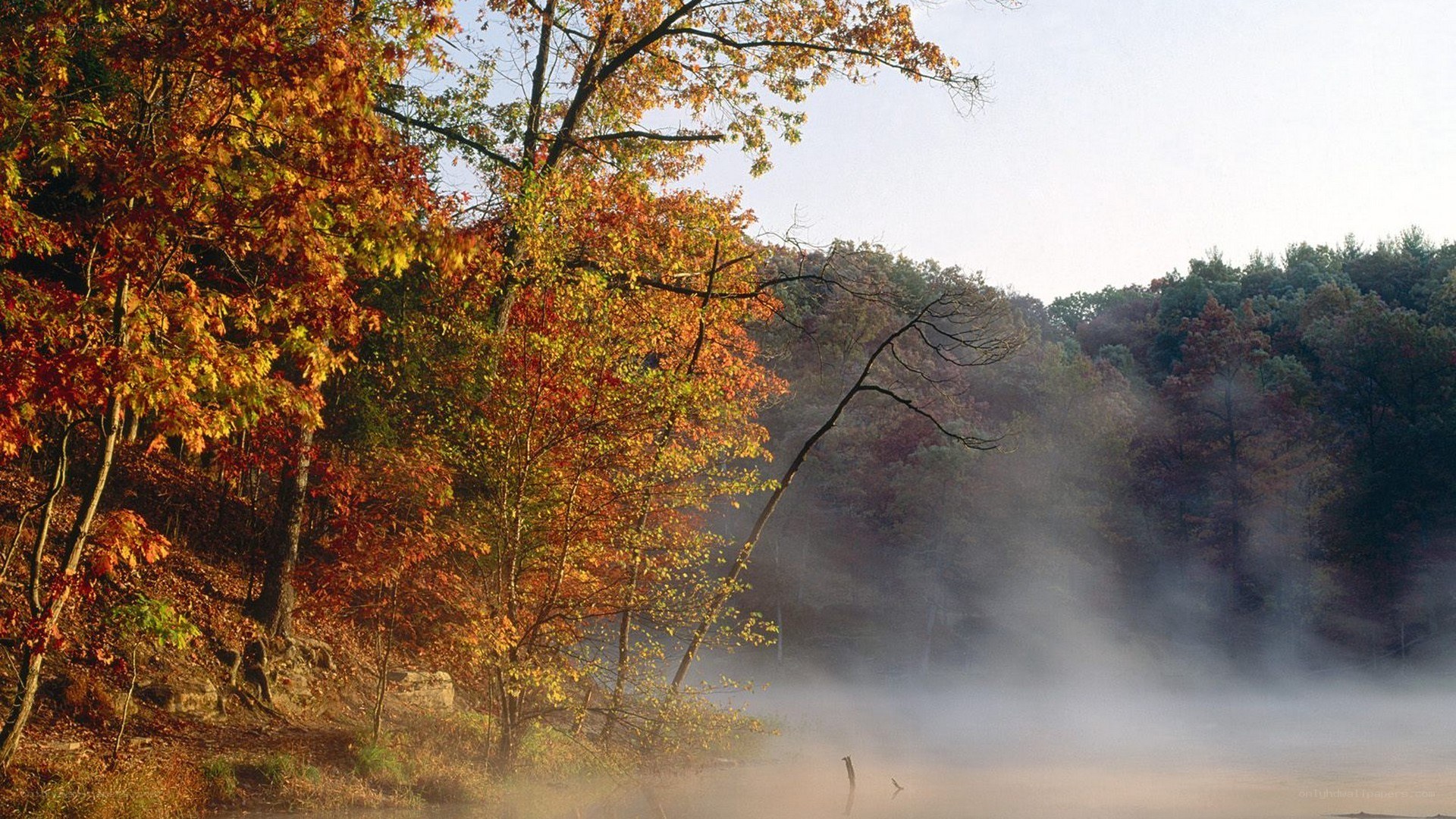 Autumn mist over a forest lake