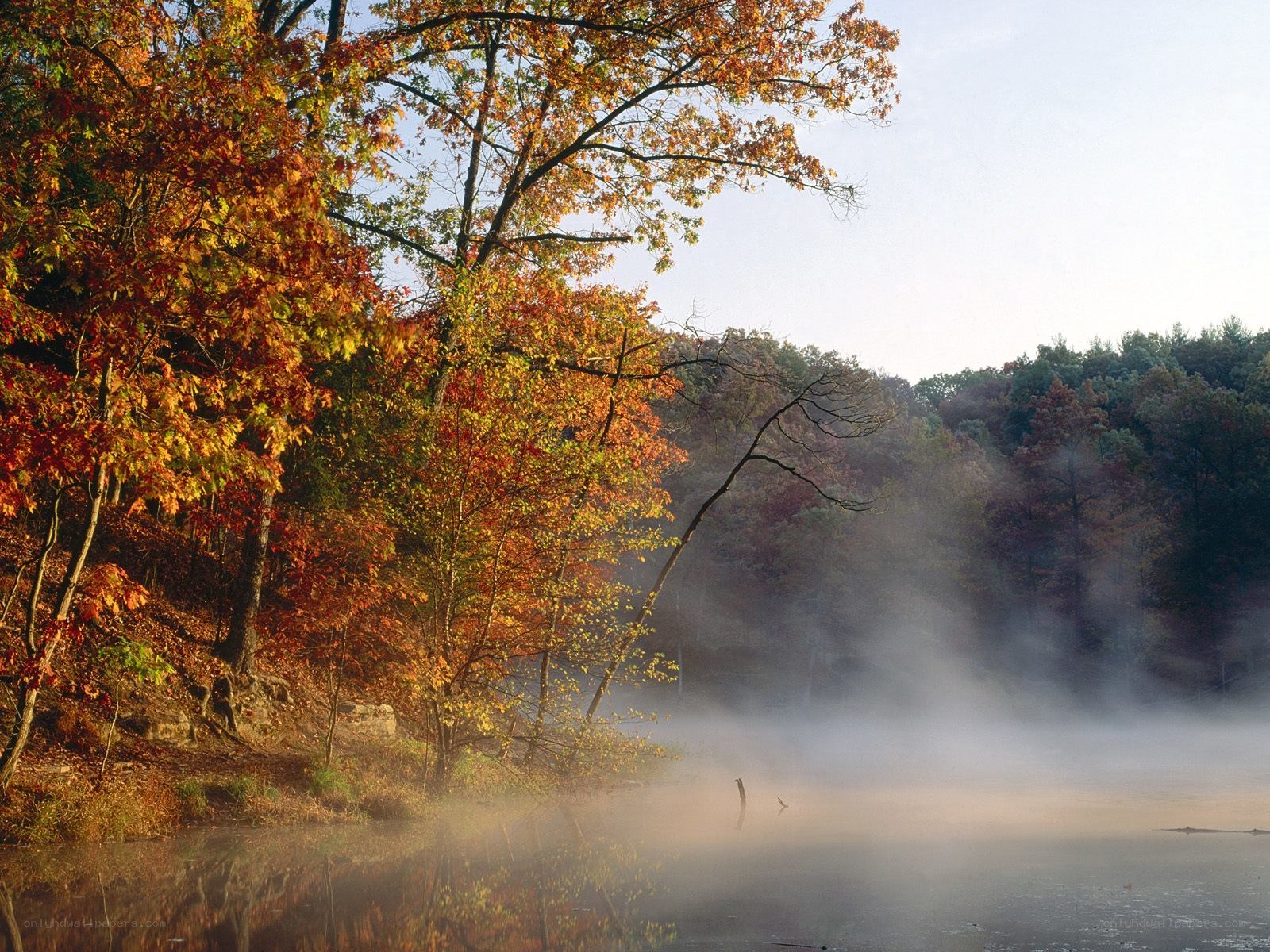 Autumn mist over a lake