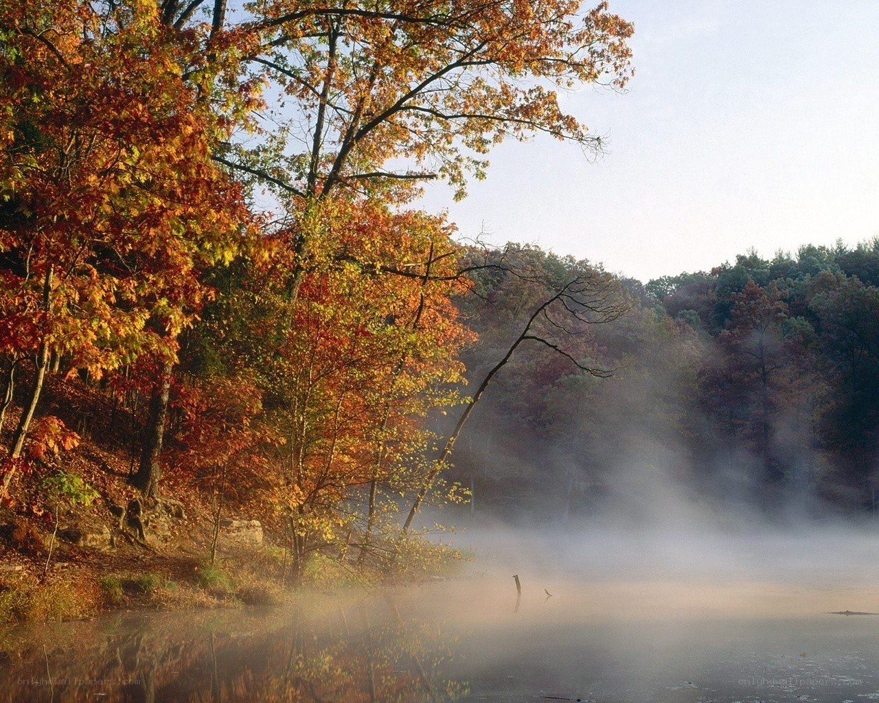 Autumn mist over a lake