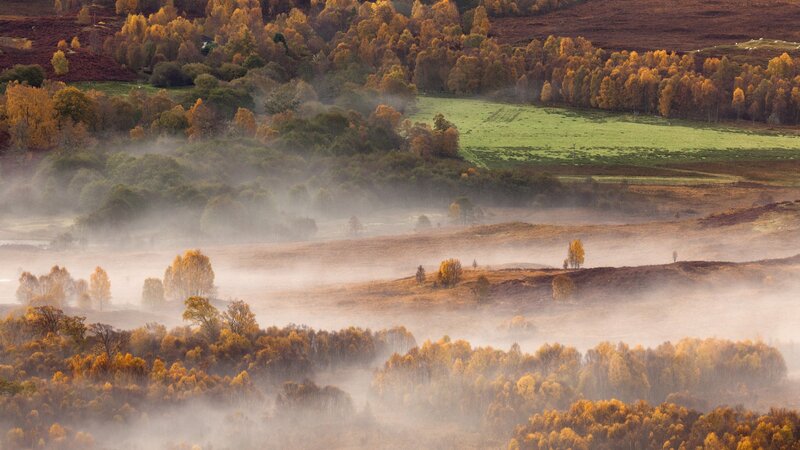 Autumn mist over rolling hills