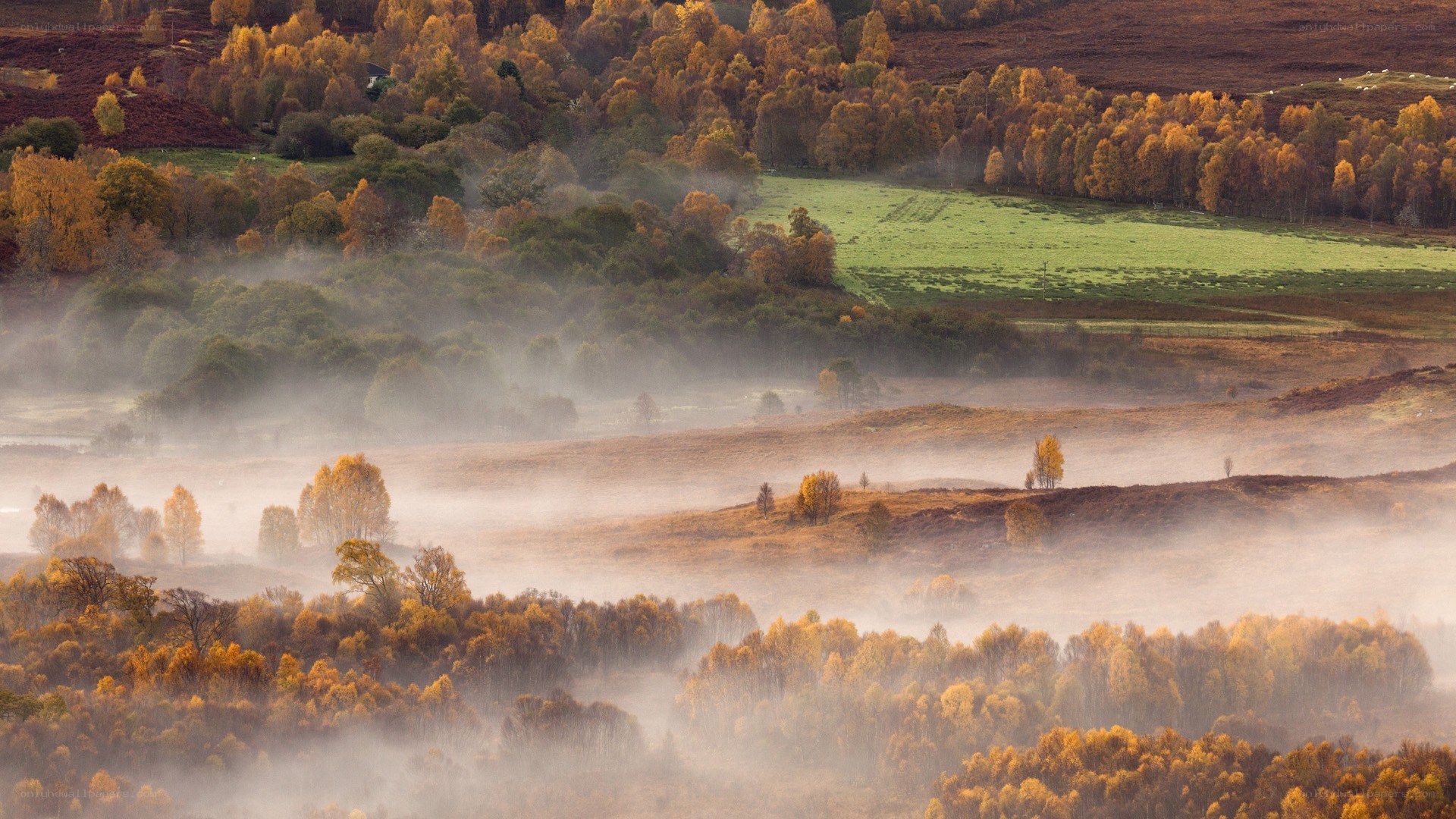 Autumn mist over rolling hills