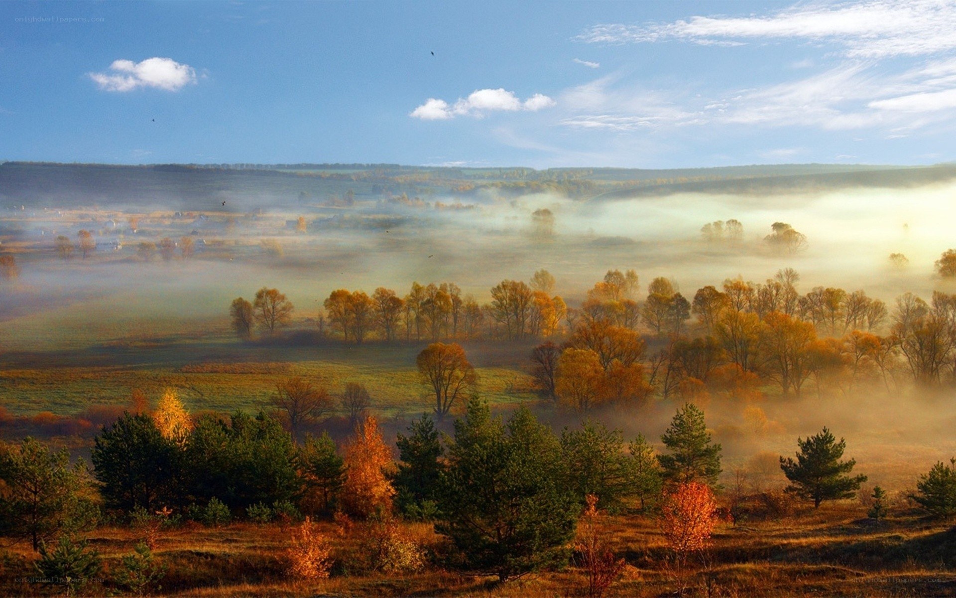 Autumn mist over rolling hills