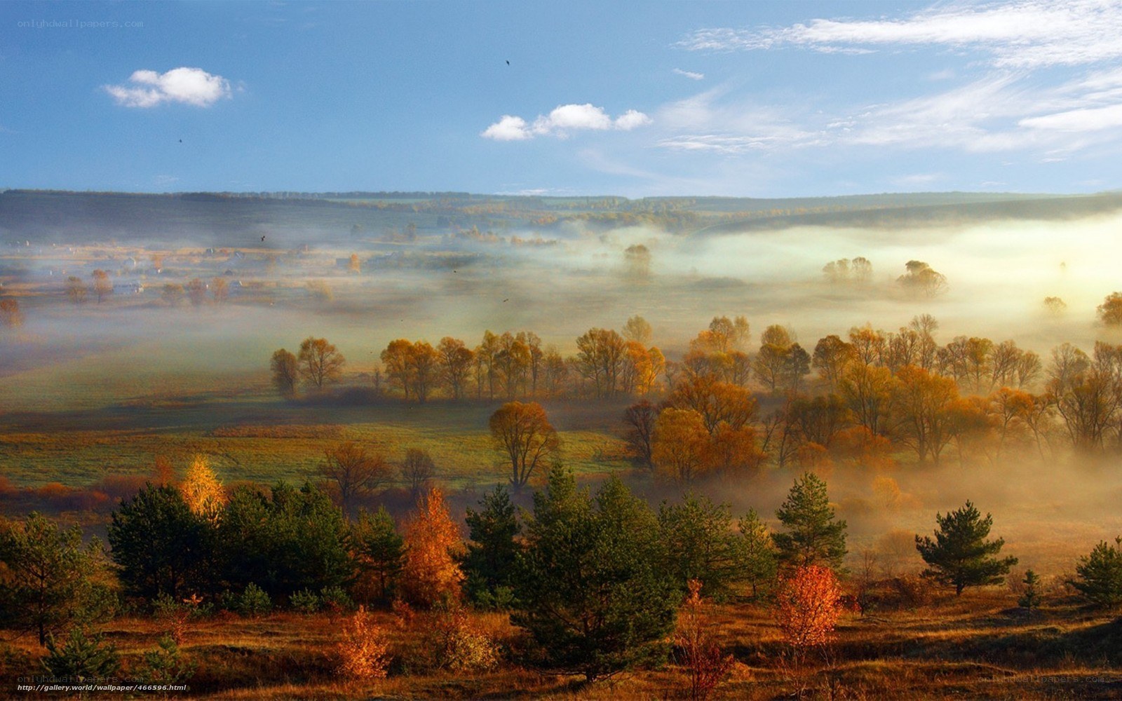 Autumn mist over rolling hills