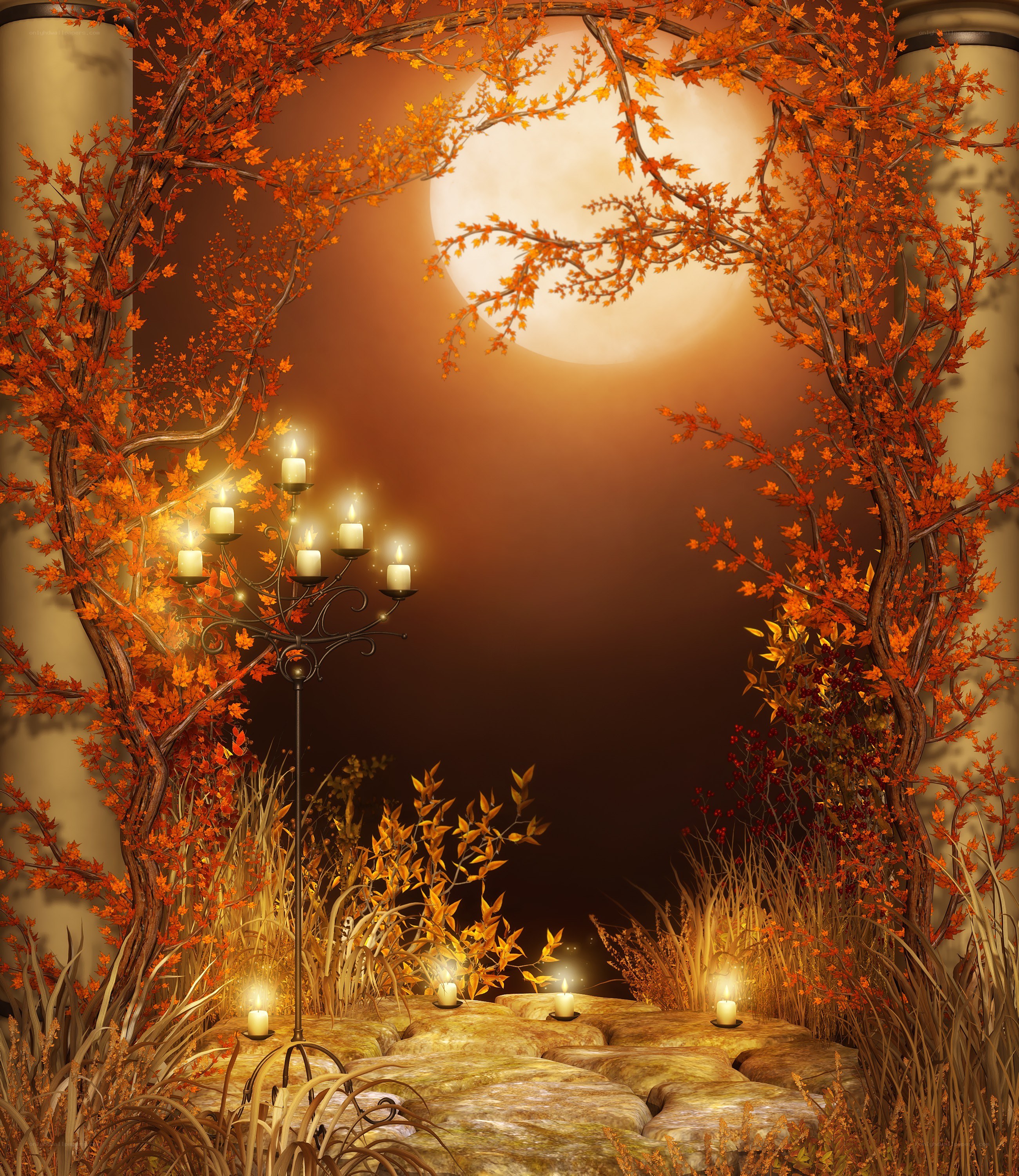 Autumn moonlit garden scene