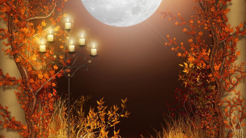Autumn moonlit scene
